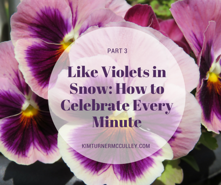 Like Violets in Snow: How to Celebrate Every Minute
