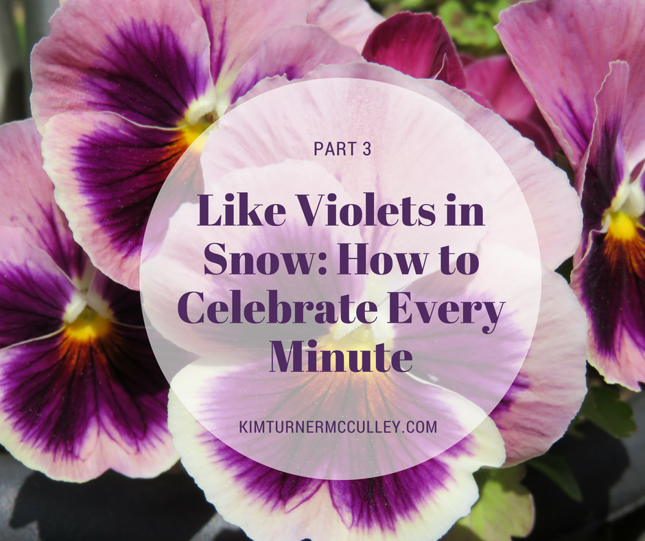 Like Violets in Snow: How to Celebrate Every Day KimTurnerMcCulley.com