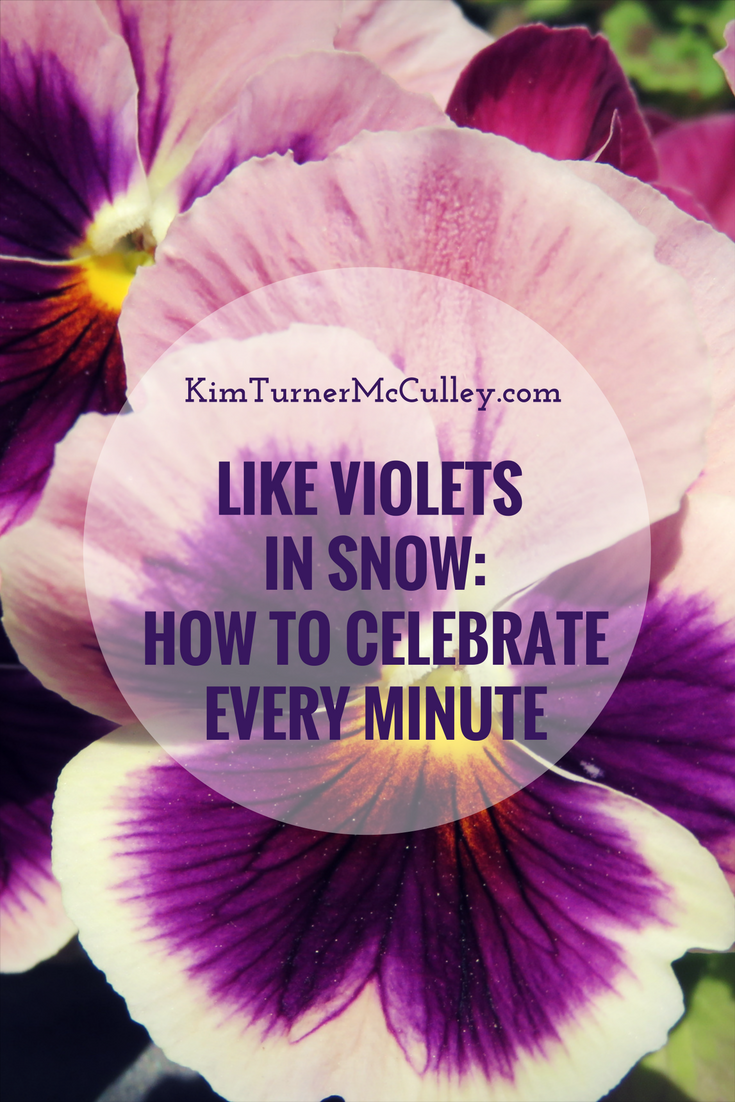 Like Violets in Snow: How to Celebrate Every Minute KimTurnerMcCulley.com
