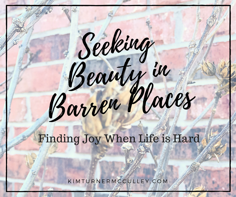 Seeking Beauty in Barren Places | Finding Joy When Life is Hard KimTurnerMcCulley.com