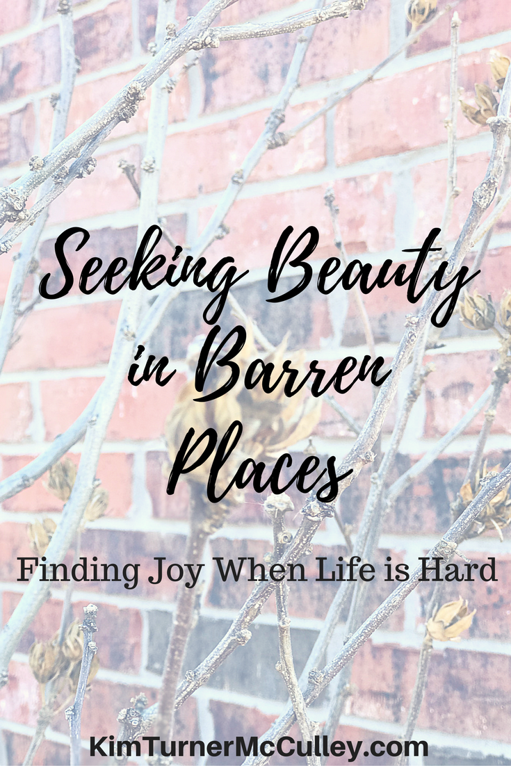 Seeking Beauty in Barren Places | Finding Joy When Life is Hard KimTurnerMcCulley.com