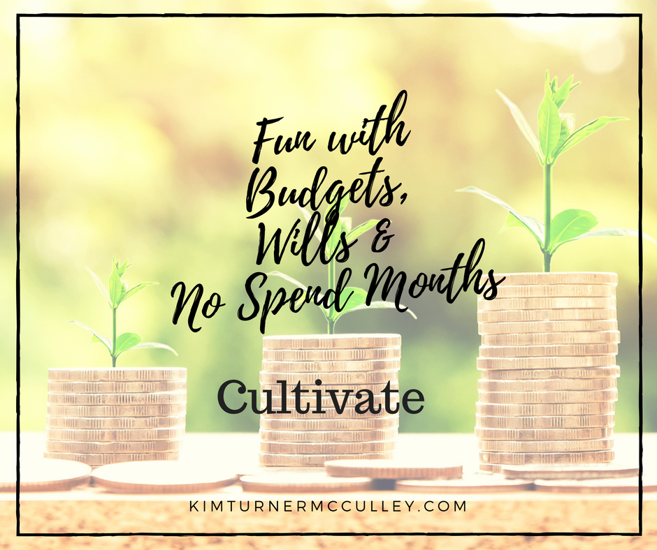 Fun with Budgets, Wills & No Spend Months KimTurnerMcCulley.com