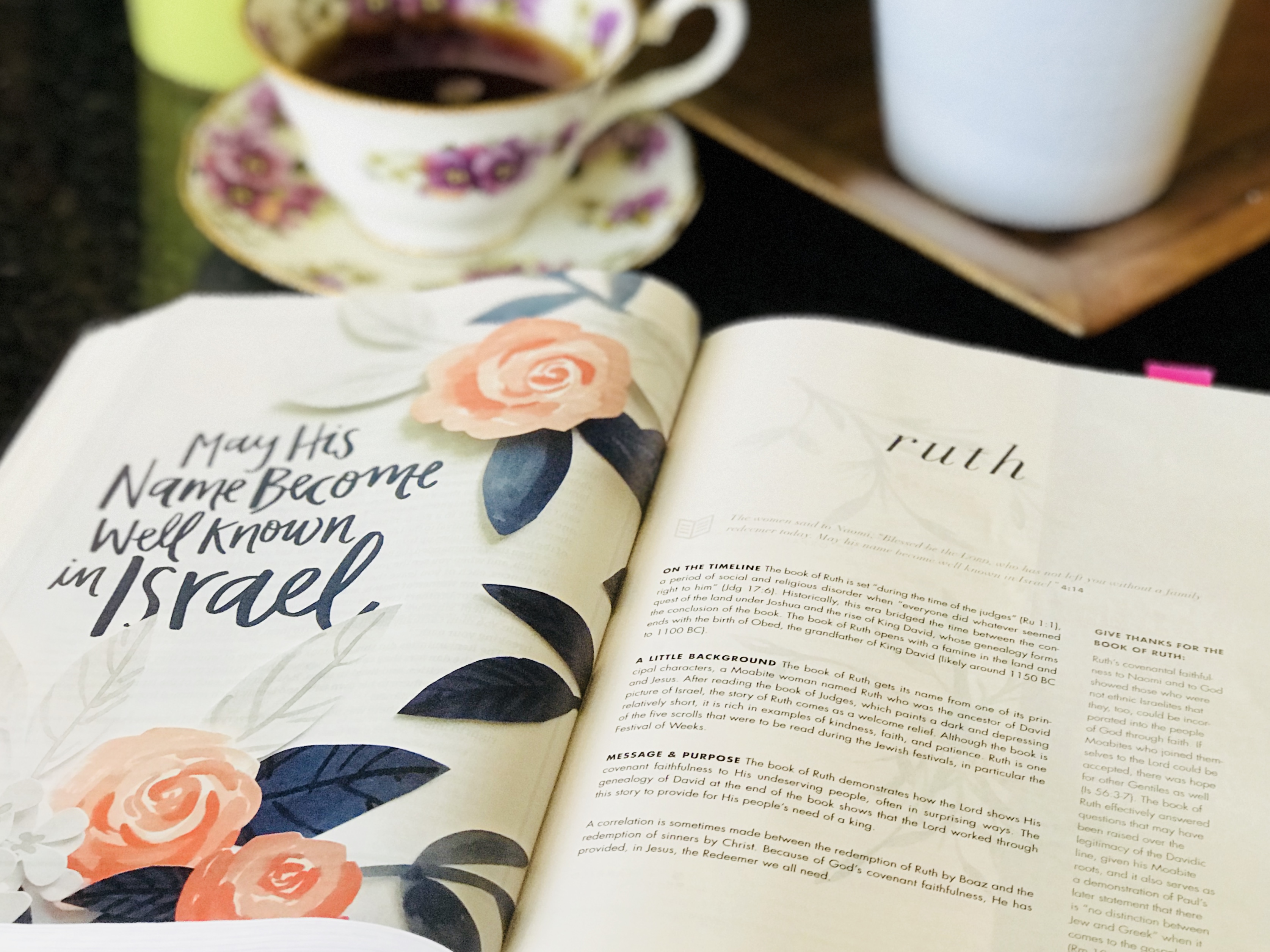 She Reads Truth Bible Review KimTurnerMcCulley.com