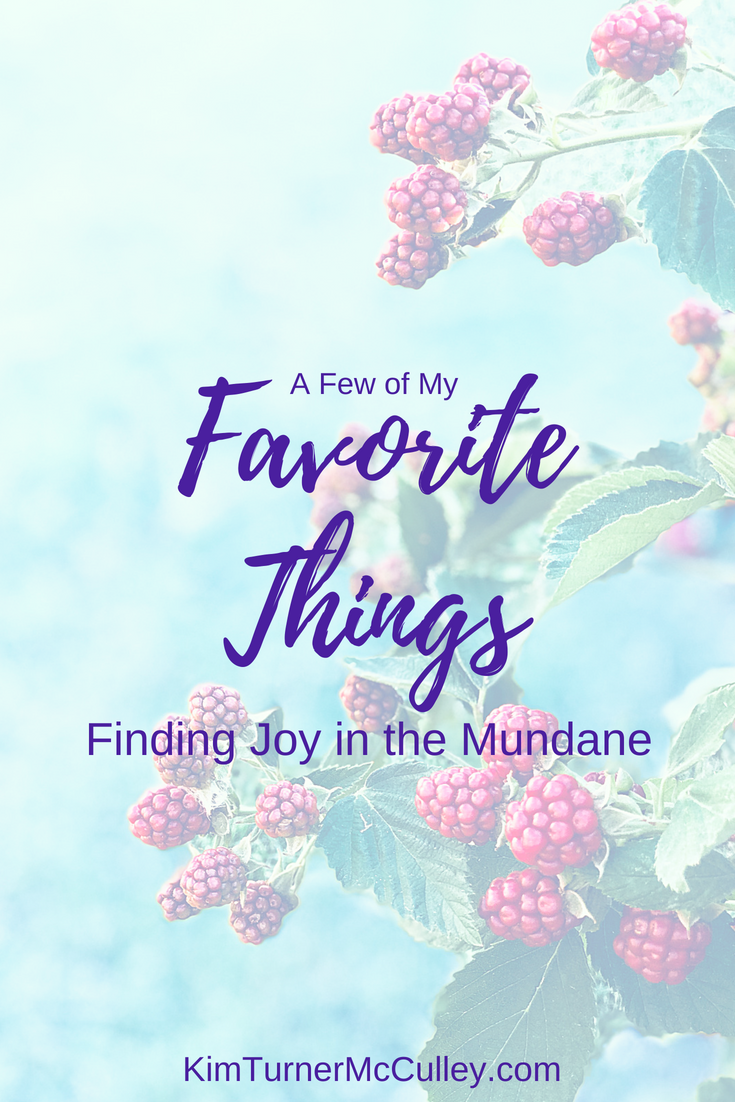Finding Joy in the Mundane Favorite Things KimTurnerMcCulley.com