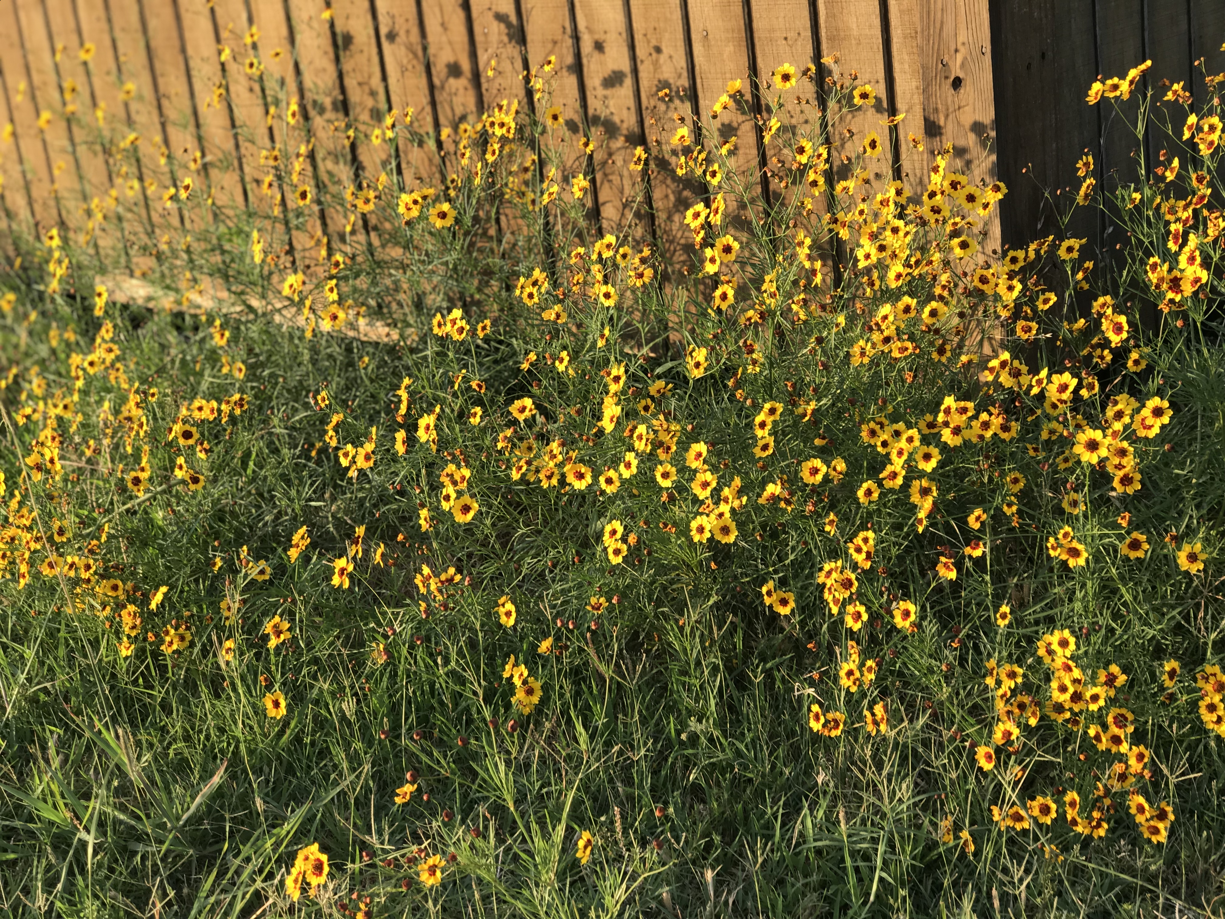 Finding Joy in the Mundane | A Few of My Favorite Things