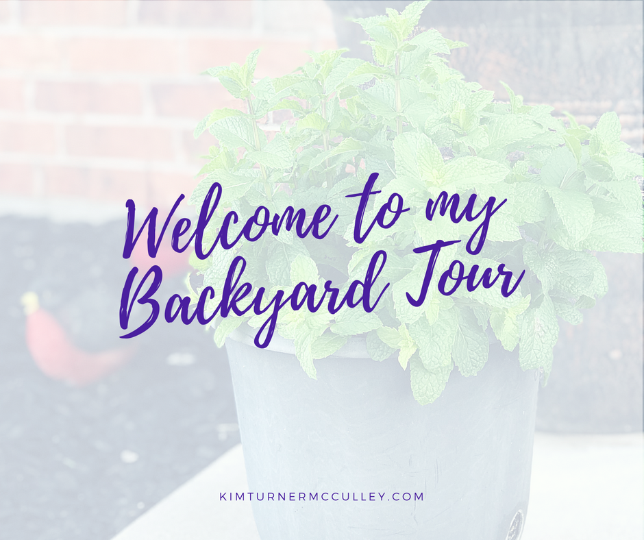 Welcome to My Backyard Tour KimTurnerMcCulley.com