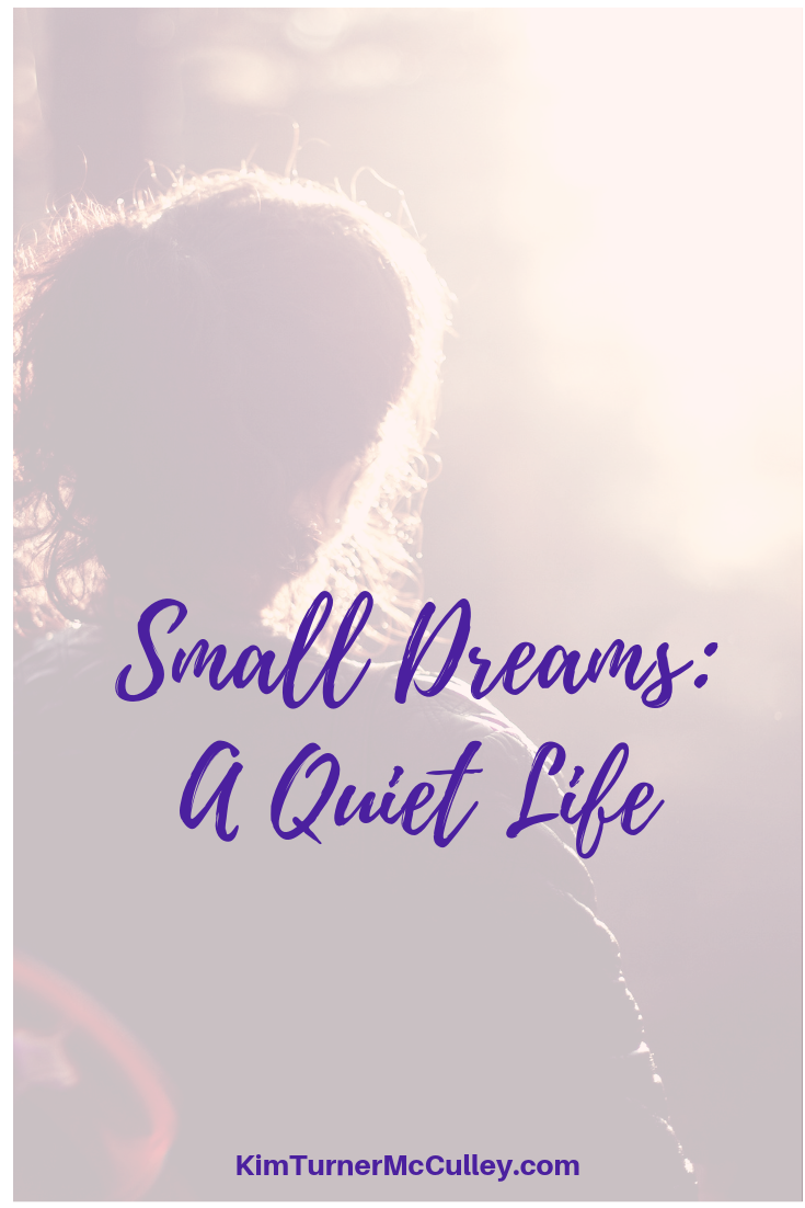 Is My Dream Too Small? Do you ever wonder if you life is too quiet, too small...if you aren't dreaming big enough? What does a God-sized dream look like? Let's ponder that question. KimTurnerMcCulley.com
