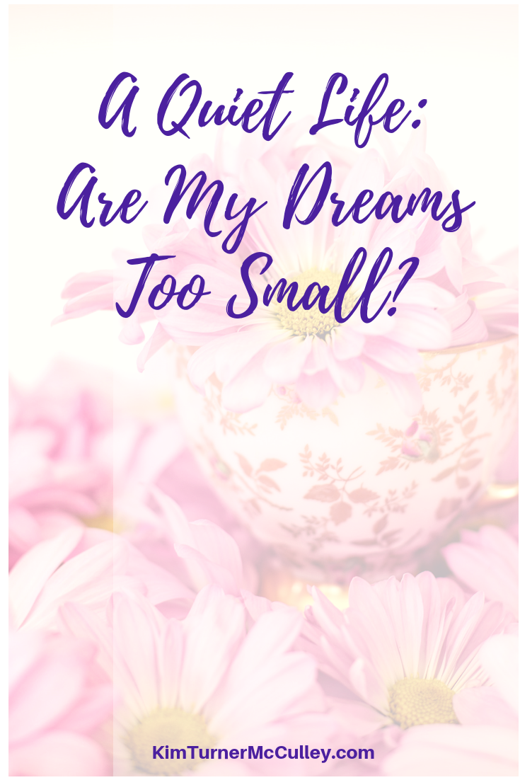 Is My Dream Too Small? Do you ever wonder if you life is too quiet, too small...if you aren't dreaming big enough? What does a God-sized dream look like? Let's ponder that question. KimTurnerMcCulley.com