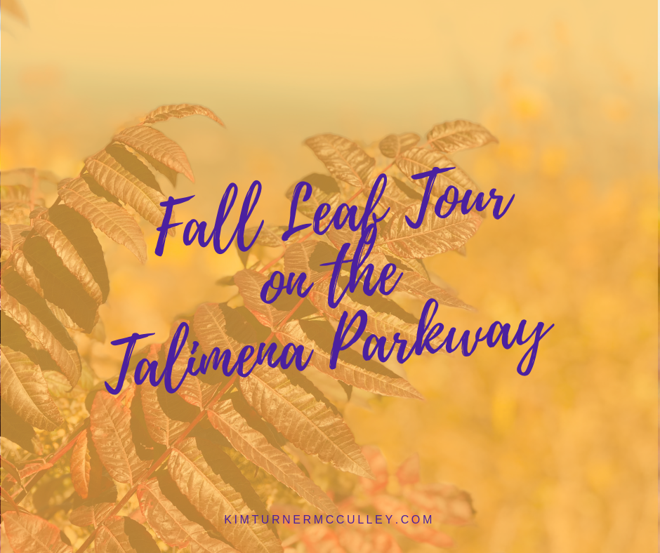 Fall Leaf Tour Talimena Parkway