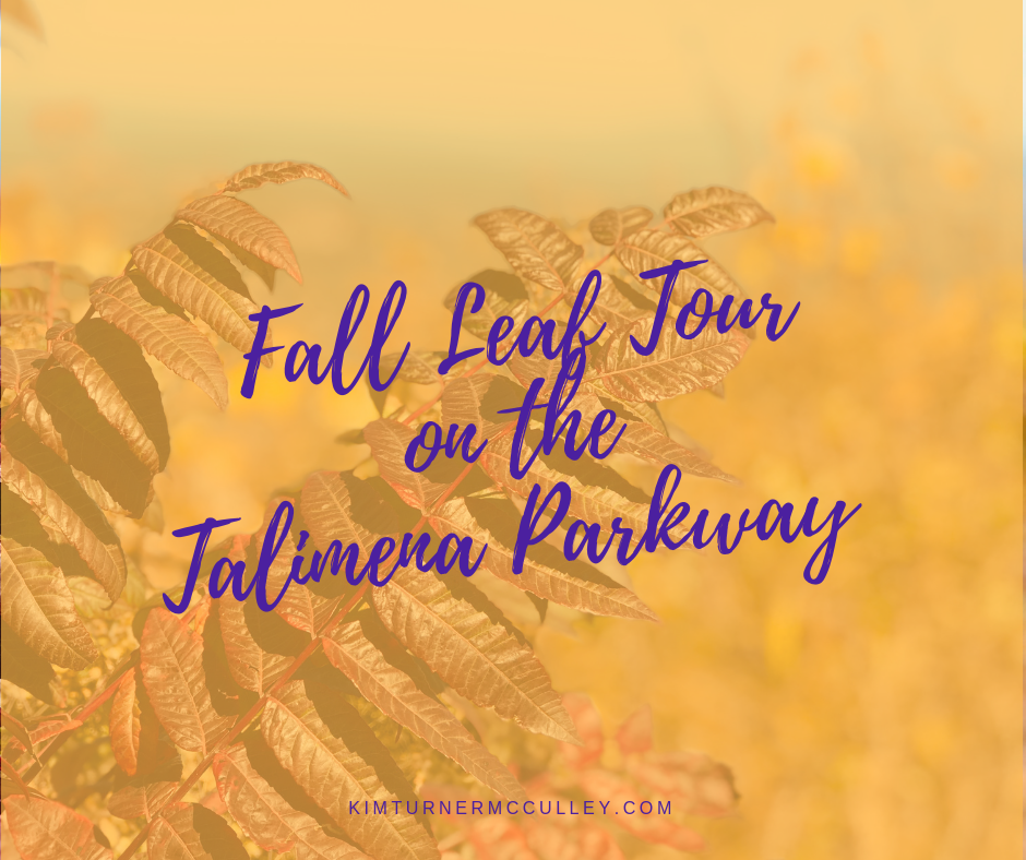 Come join us on our Fall Leaf Tour of the gorgeous Talimena Parkway. Autumn foliage was stunning in the Winding Stair Mountains of Ouachita National Forest. 