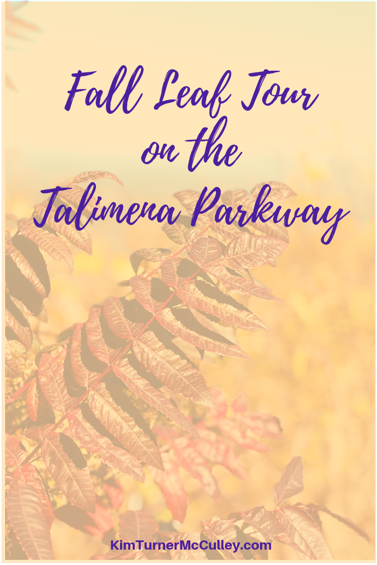Come join us on our Fall Leaf Tour of the gorgeous Talimena Parkway. Autumn foliage was stunning in the Winding Stair Mountains of Ouachita National Forest. #fall #fallfun