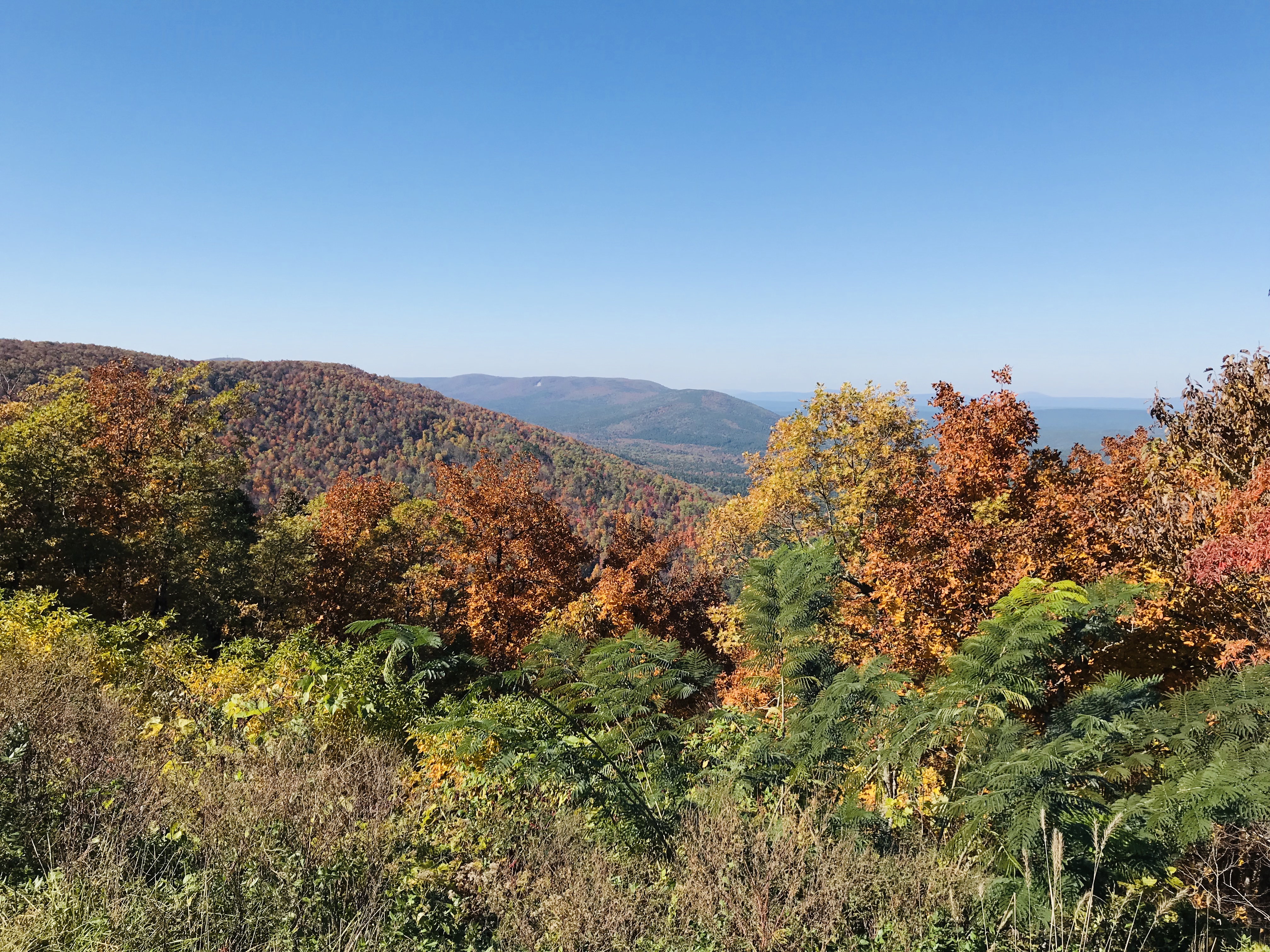 Come join us on our Fall Leaf Tour of the gorgeous Talimena Parkway. Autumn foliage was stunning in the Winding Stair Mountains of Ouachita National Forest. 