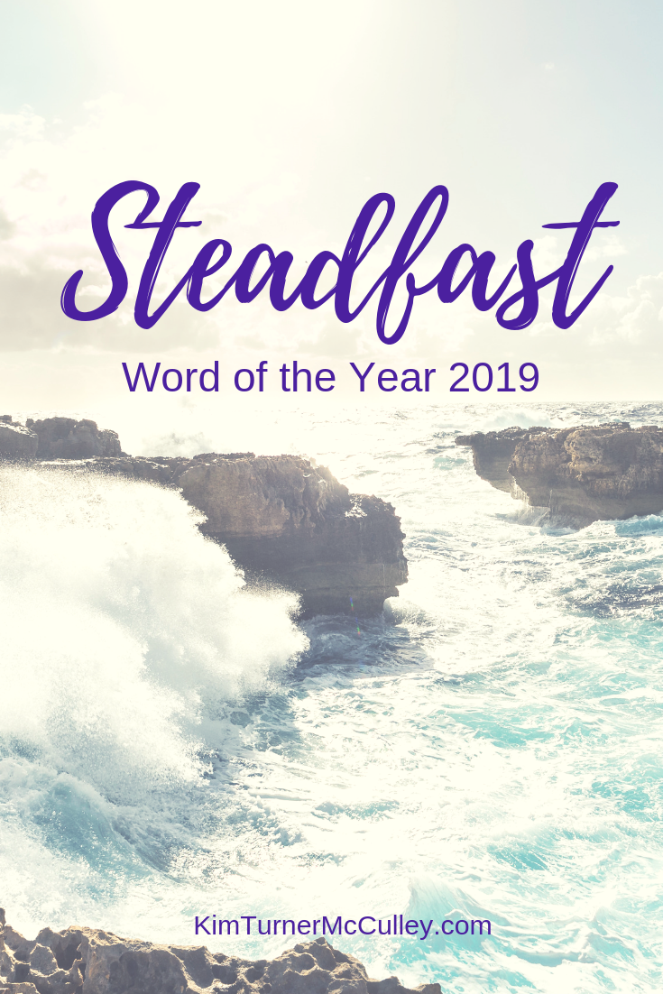 Word of the Year Steadfast I've chosen the word Steadfast as my theme this year. Read how and why I chose it and my Scripture of the Year! #wordoftheyear 