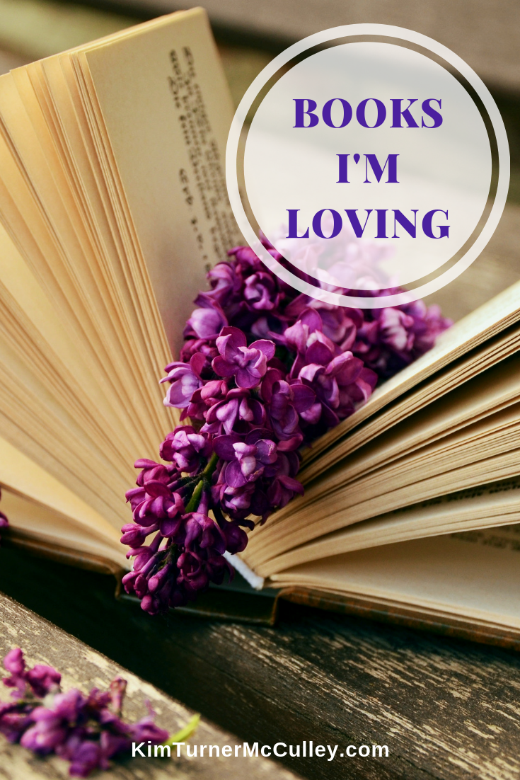 Books I'm Loving | Book Recommendations Looking for some great #fiction #nonfiction #christiannonfiction books? Come discover what I'm recommending this month at KimTurnerMcCulley.com