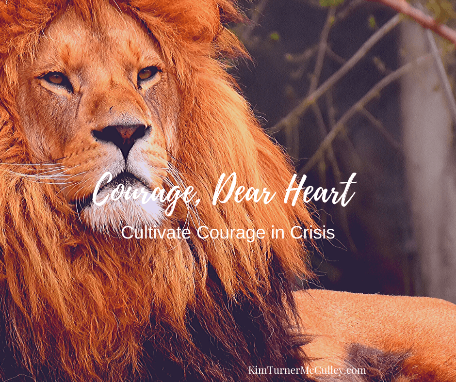 Courage Dear Heart Cultivating Courage in Crisis KimTurnerMcCulley.com