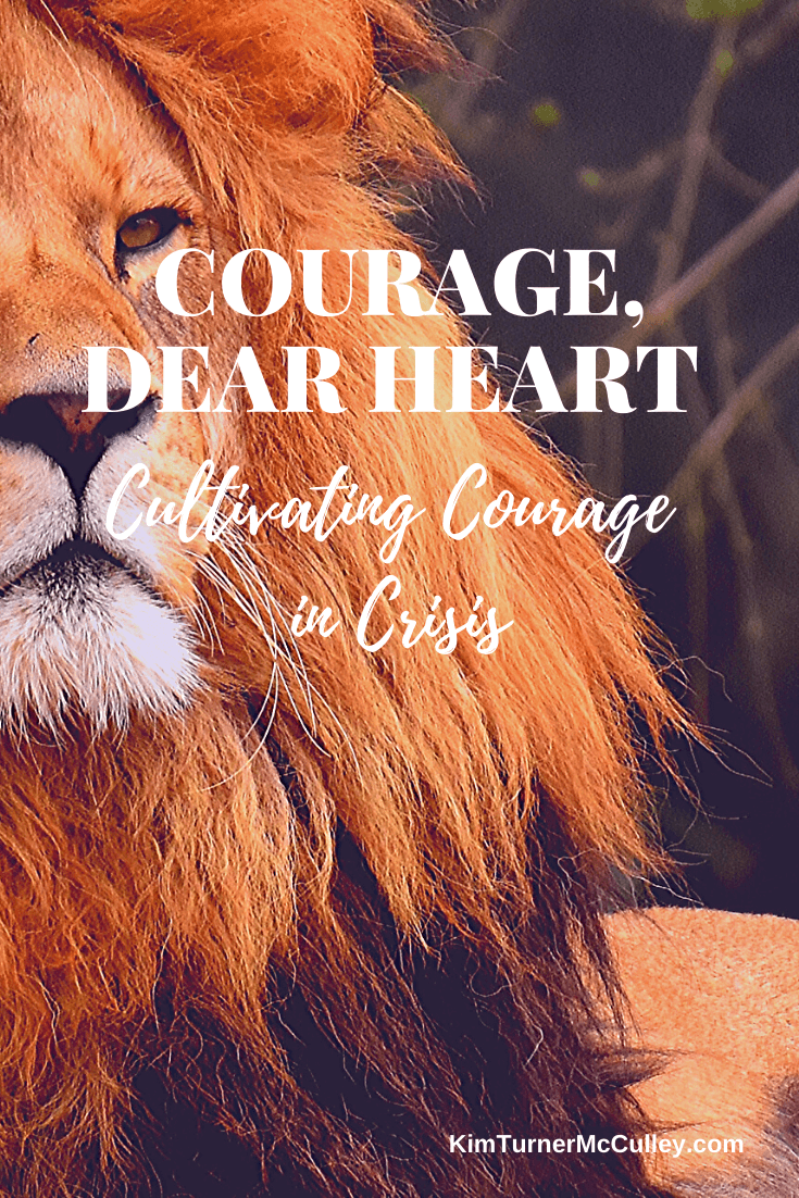 Courage Dear Heart. Encouragement, tips, and book recommendations to thrive in challenging times. #couragedearheart #stayhome KimTurnerMcCulley.com