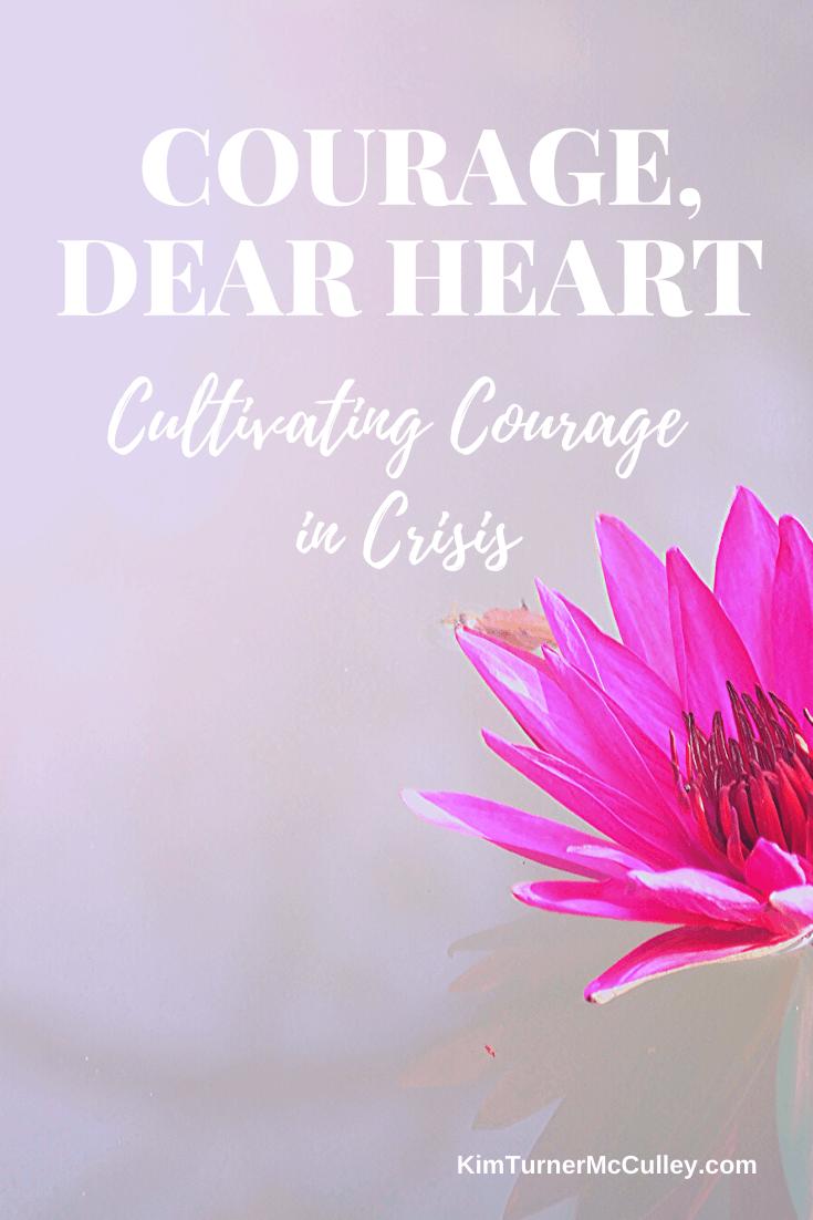 Courage Dear Heart. Encouragement, tips, and book recommendations to thrive in challenging times. #couragedearheart #stayhome KimTurnerMcCulley.com
