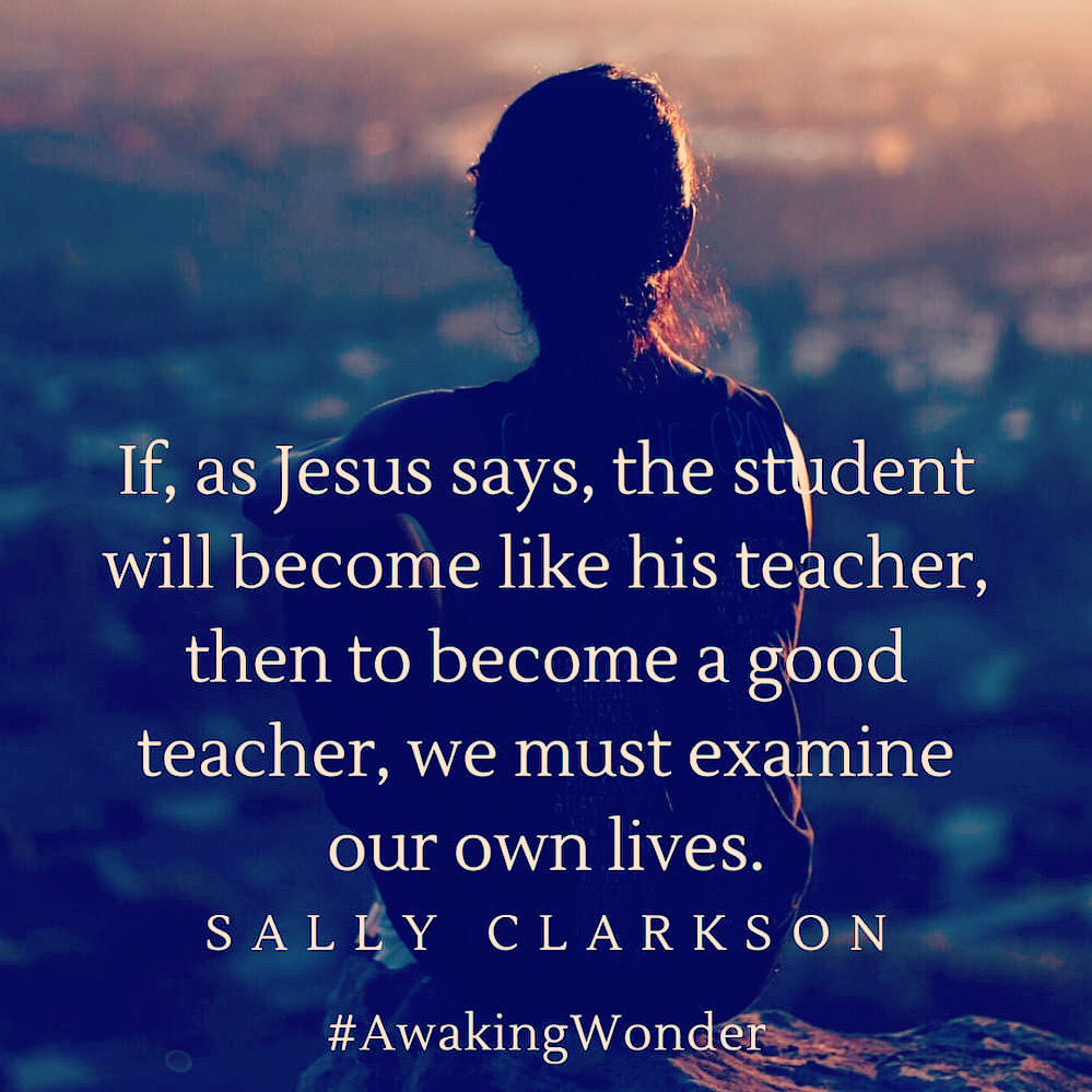 Awaking Wonder Book Review | KimTurnerMcCulley.com #awakingwonder