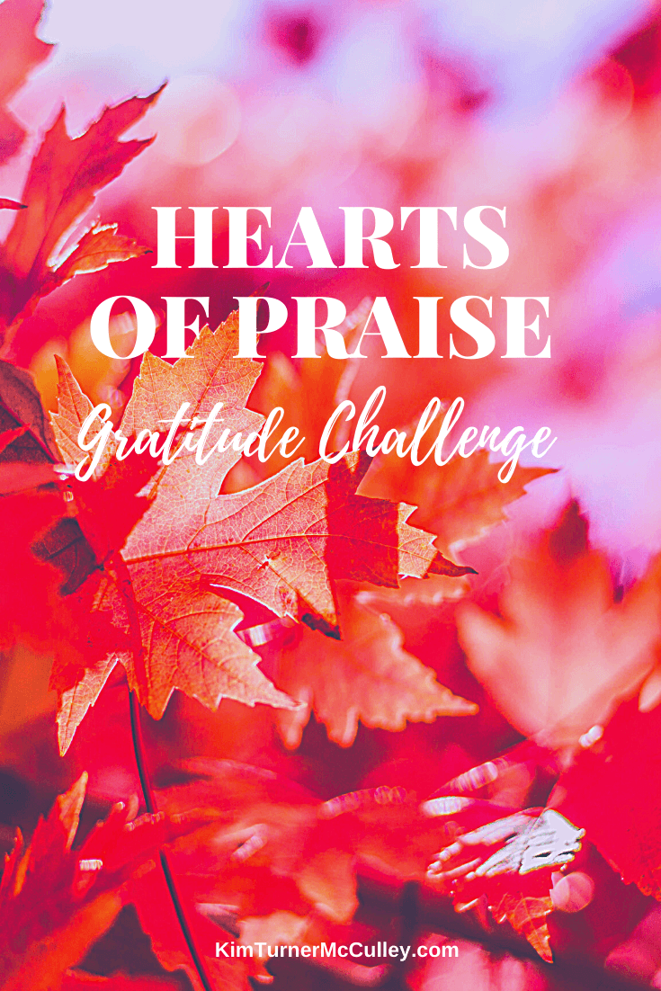 Hearts of Praise Gratitude Challenge KimTurnerMcCulley.com #gratitudechallenge