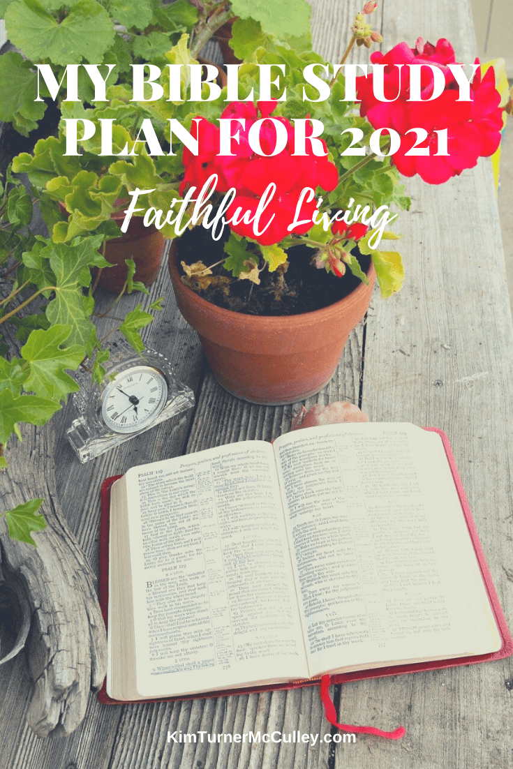 Join as I share my Bible Study plan for the year. Recommendations for reading plans, books, podcasts, resources. #biblestudy #devotions