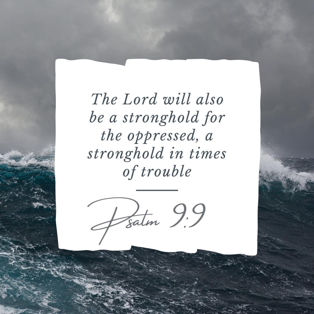 The Lord will also be a stronghold for the oppressed, a stronghold in times of trouble. Psalm 9:9
Help, I'm Drowning Book Review
