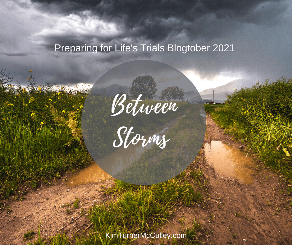 Between Storms | Preparing for Life's Trials Blogtober 2021
Stormy clouds and a muddy path surrounded by brush